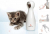 frolicat bolt pet laser toy