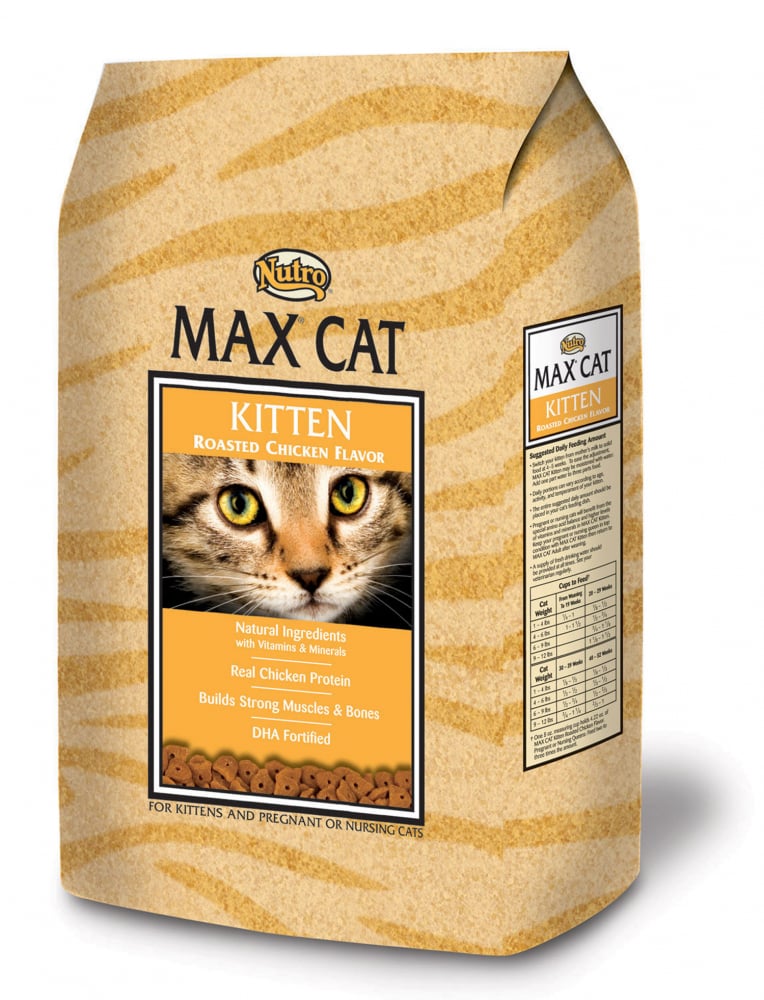 nutro-max-kitten-dry-food-petflow