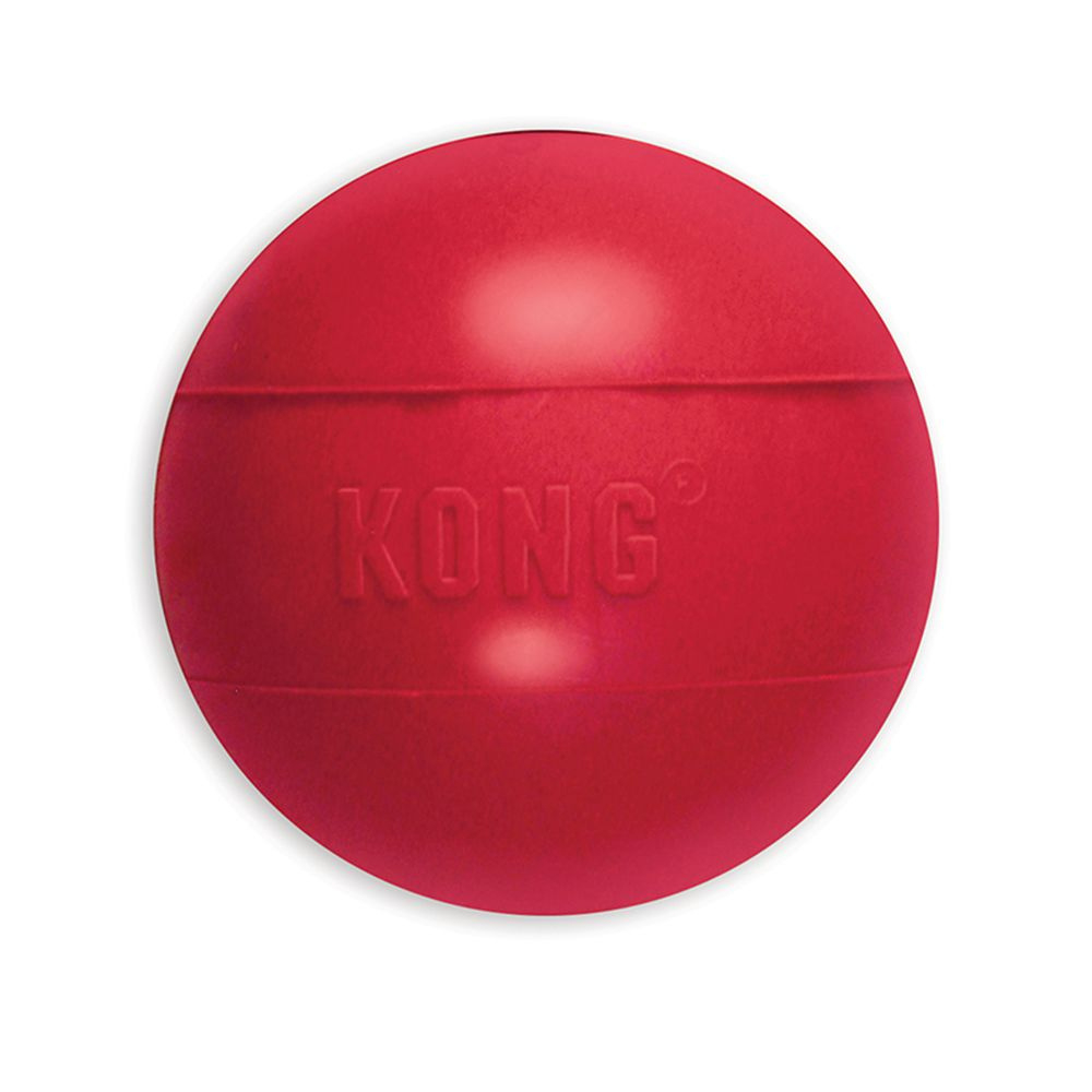 KONG Ball Dog toy - Medium/Large Ball Image