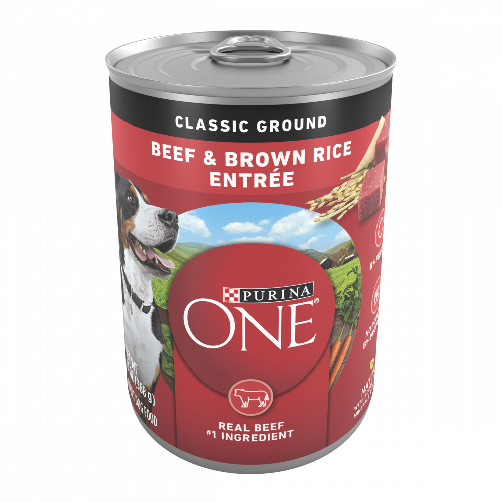 Best price for outlet purina one dog food