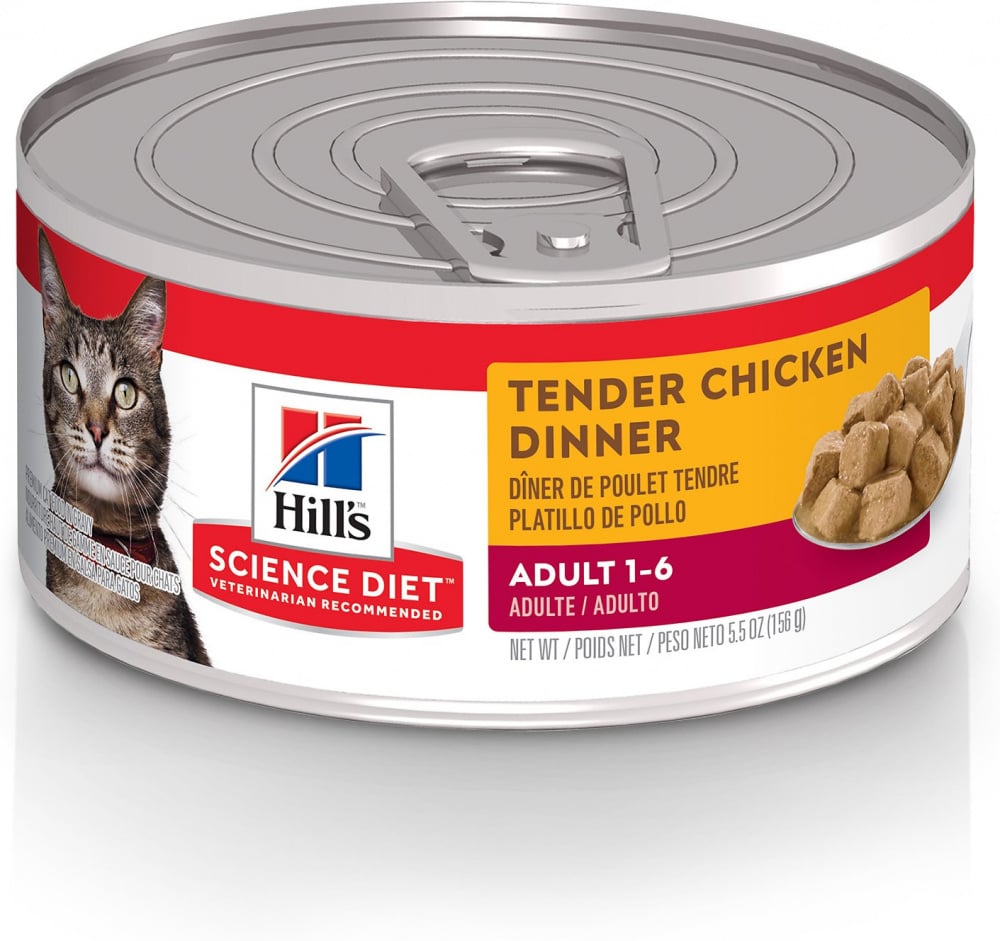 hill's science diet kitten tender chicken dinner canned cat food