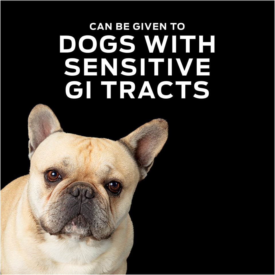 Purina Pro Plan Veterinary Diets HA Hypoallergenic Gentle Snackers Dog