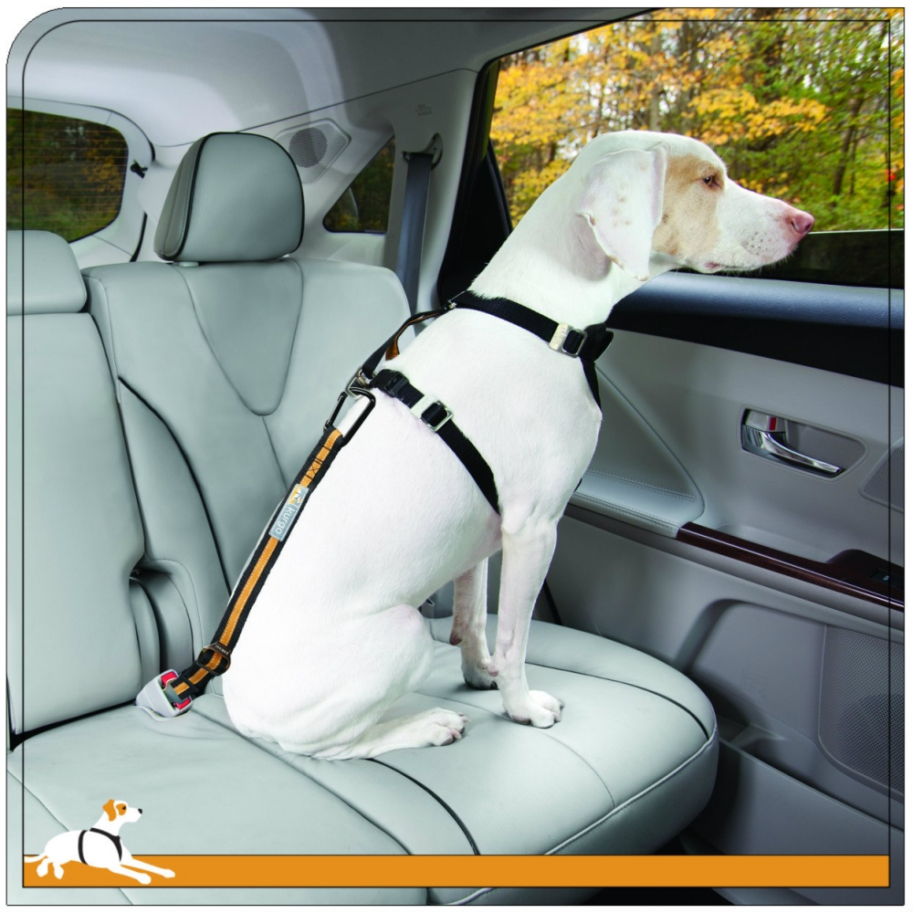 Kurgo Seatbelt Tether - Seatbelt Teather Image