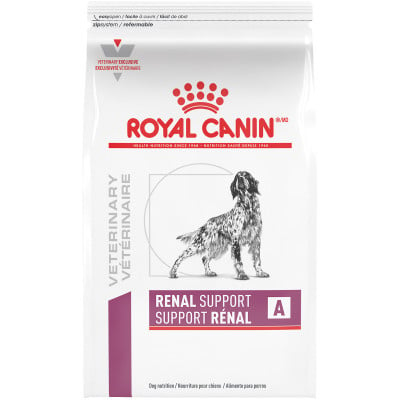 mrx rc canine veterinary care dental