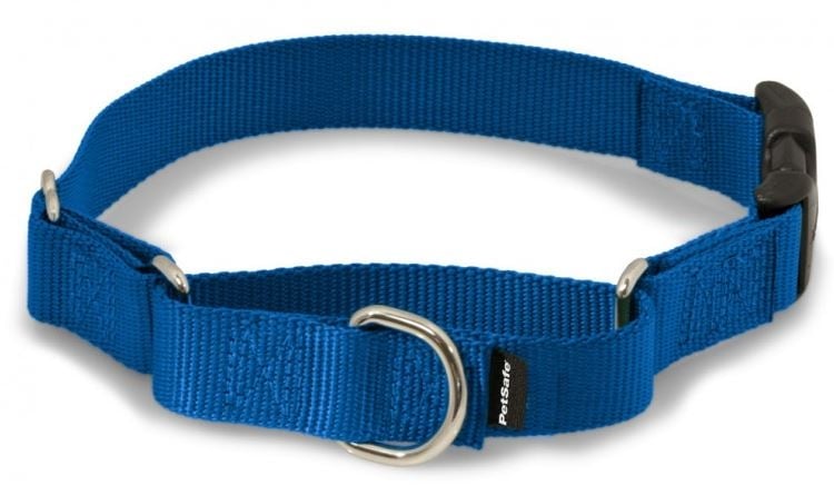 PetSafe Premier Martingale Royal Blue Quick Snap Pet Collar - Medium: 3/4