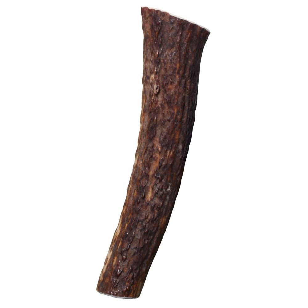 KONG Wild All-Natural Whole Elk Antler for Dogs - Small: Up to 30 lb Bags Image