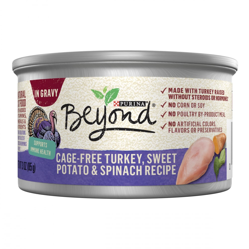 Purina beyond grain free canned hot sale dog food