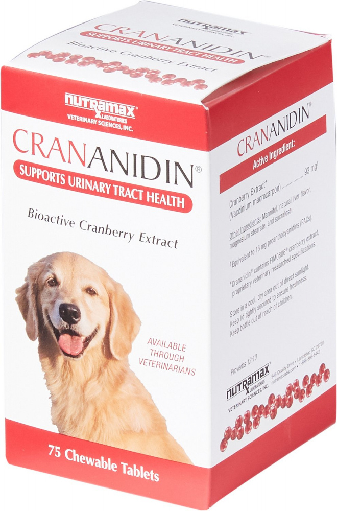 Nutramax Crananidin Chewable Tablets Urinary Dog Supplement - 21-ct Image