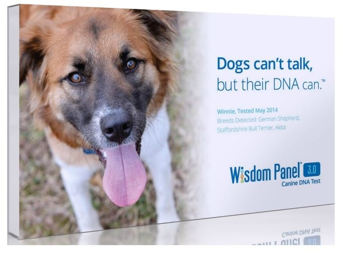 Wisdom Panel 3.0 Canine Genetic Test - Wisdom Panel 3.0 Image