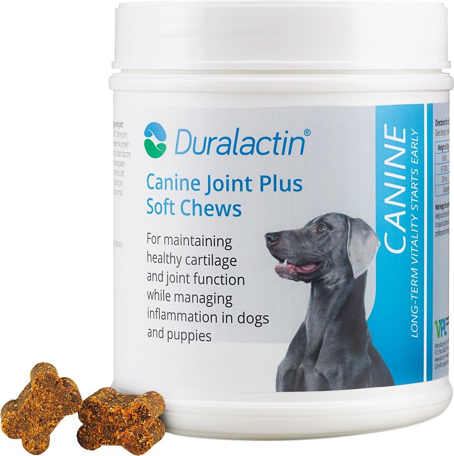 Duralactin Canine Joint Plus Soft Chew Dog Supplement - 90 Count Image