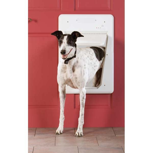 PetSafe SmartDoor White Dog Door - Large: 16.125