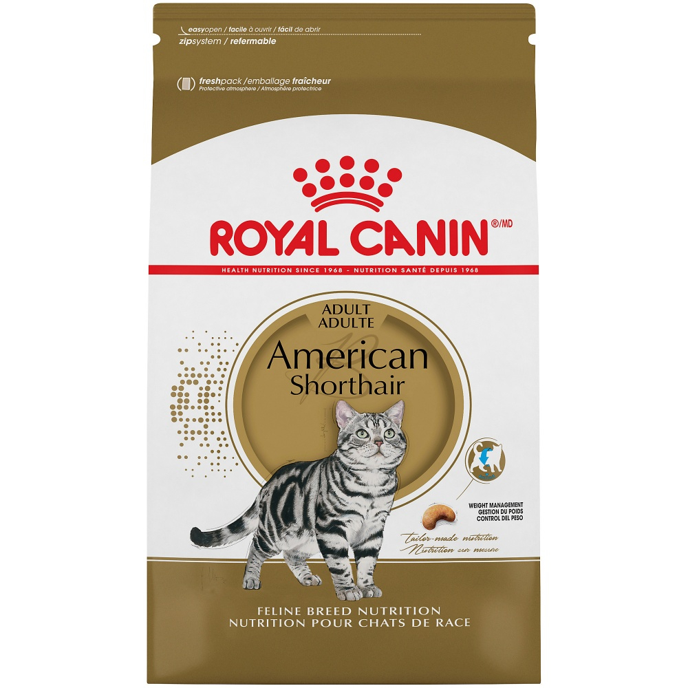 Royal Canin Adult American Shorthair Dry Cat Food - 5.5 lb Bag Image