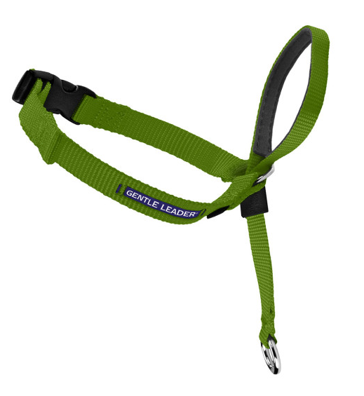 Petsafe Gentle Leader Quick Release Green Apple Headcollar for Dogs - Petite, up to 5 lb Bags Image