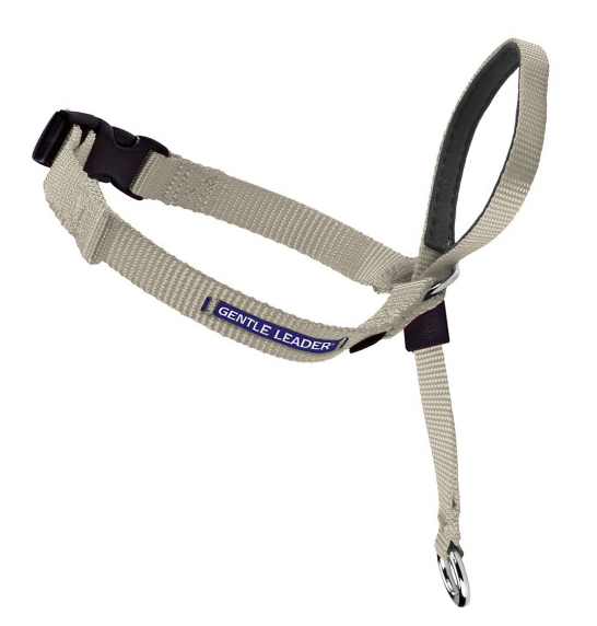 Petsafe Gentle Leader Quick Release Fawn Headcollar for Dogs - Petite, under 5 lb Bags Image