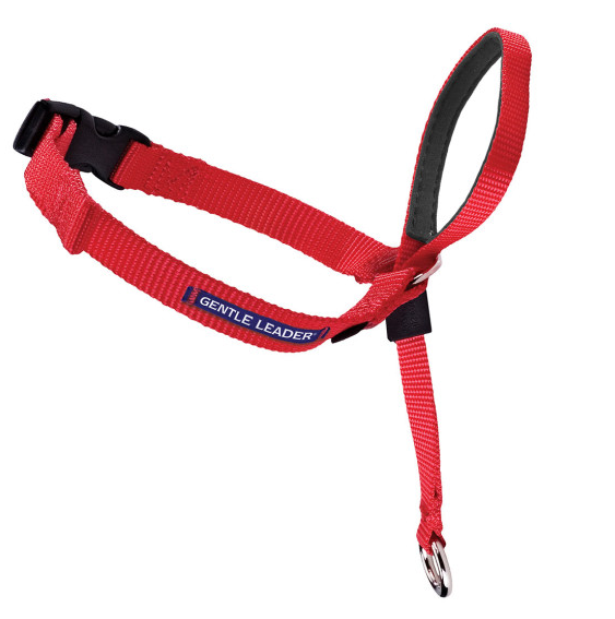 Petsafe Gentle Leader Quick Release Red Headcollar for Dogs - Medium, 25-60 lb Bags Image