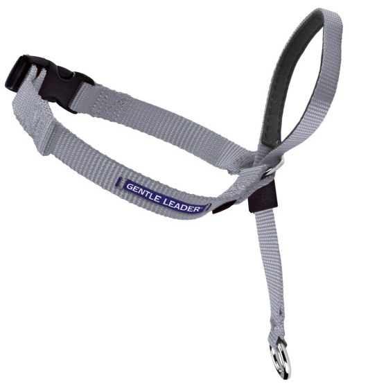 Petsafe Gentle Leader Quick Release Silver Headcollar for Dogs - Large, 60-130 lb Bags Image
