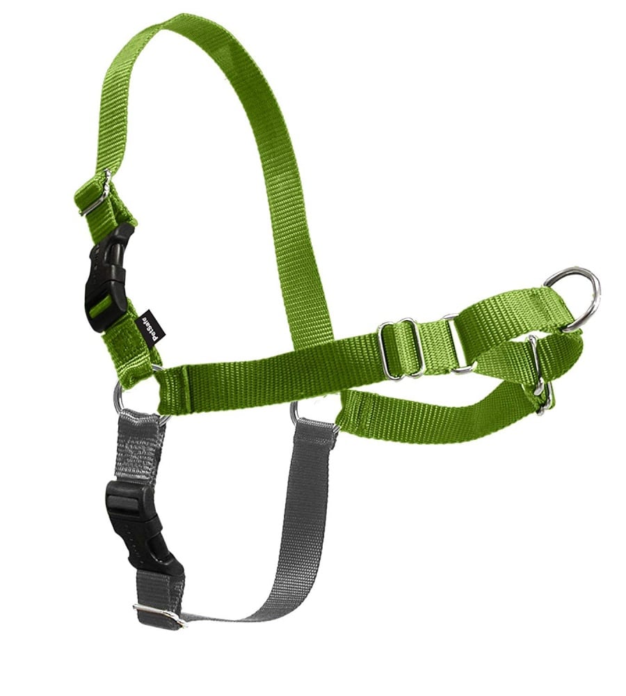 PetSafe Easy Walk Green Apple  Gray Dog Harness - Small / Medium Image