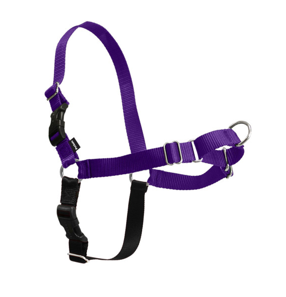 PetSafe Easy Walk Deep Purple  Black Dog Harness - Large Image