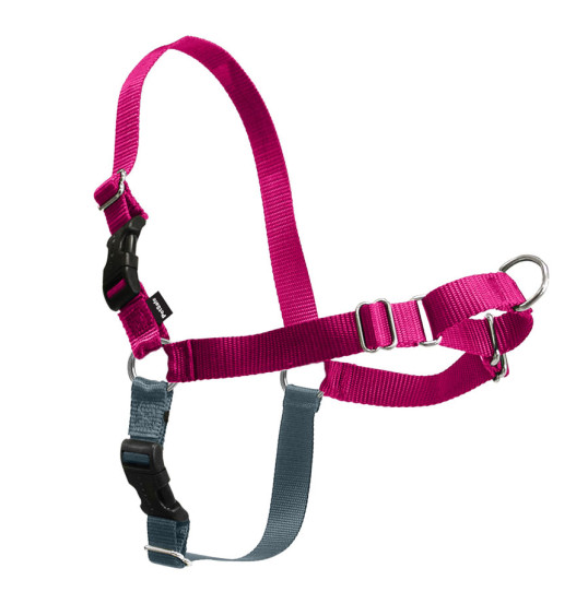 PetSafe Easy Walk Raspberry  Gray Dog Harness - Medium Image
