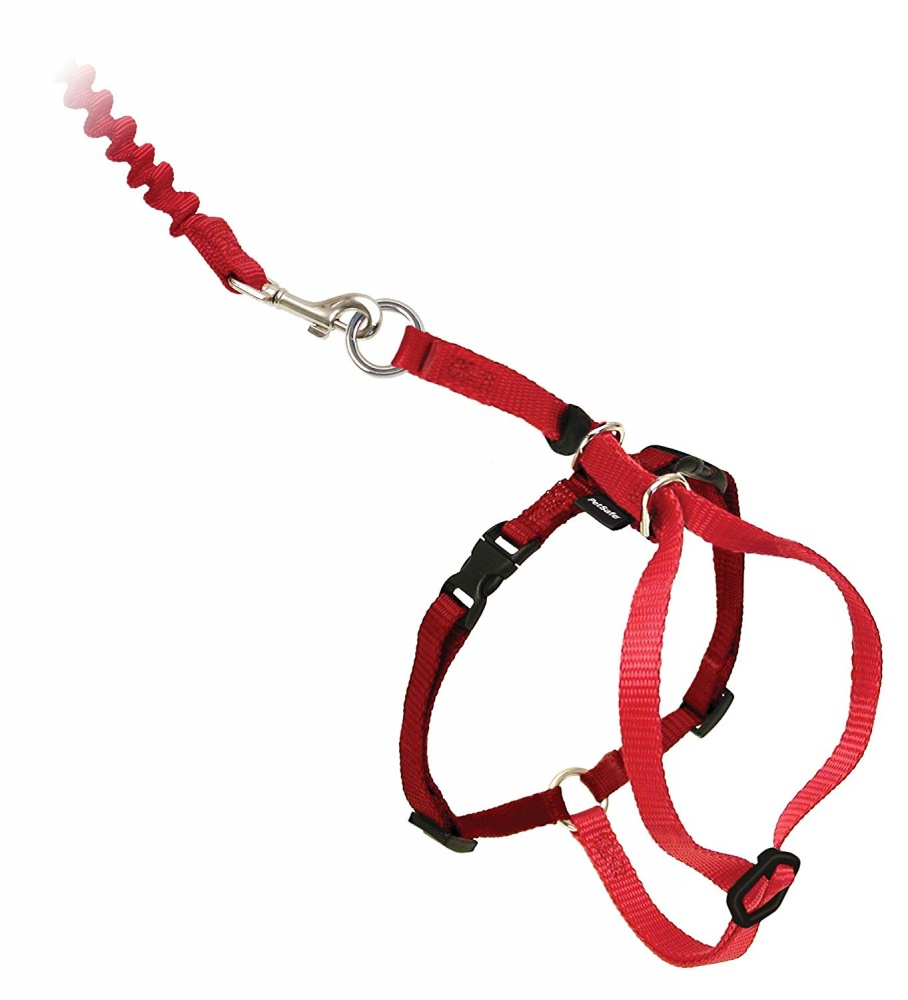 PetSafe Come with Me Kitty Red  Cranberry Harness & Bungee Leash for Cats - Large Image