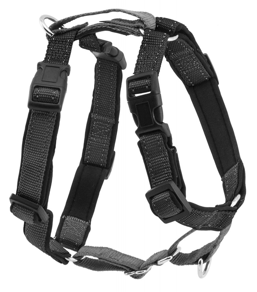 PetSafe 3 in 1 Black Dog Harness - Large Image