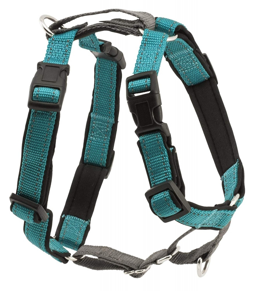 PetSafe 3 in 1 Teal Dog Harness - Large Image