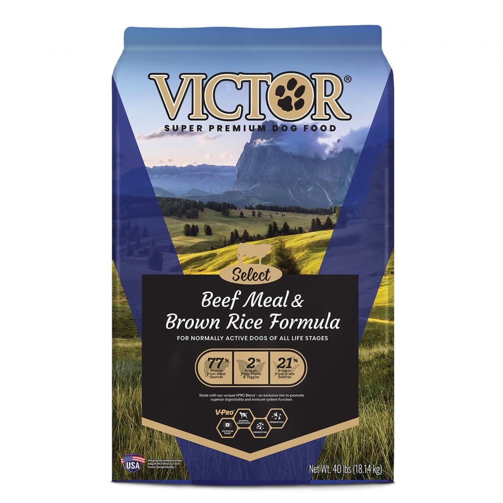 Victor Select Beef Meal Brown Rice Formula Dry Dog Food PetFlow