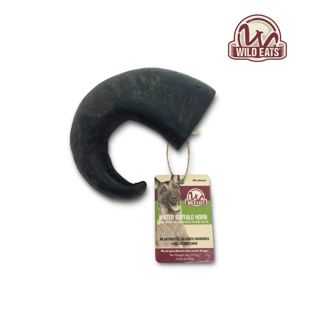 Wild Eats Water Buffalo Horn Dog Chew | PetFlow