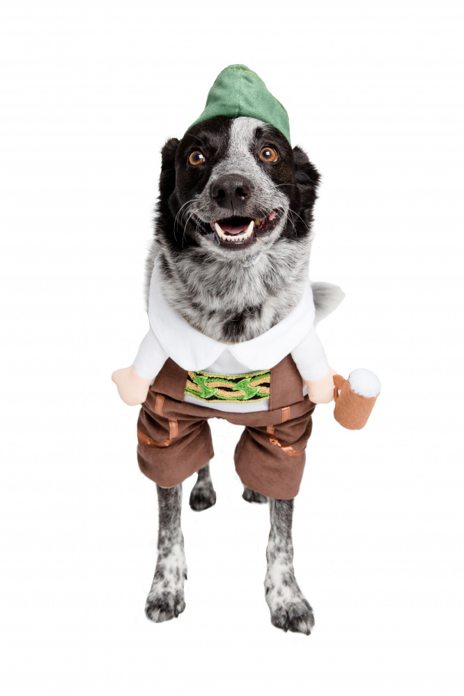 Pet Krewe German Oktoberfest Dog Costume - Small Image