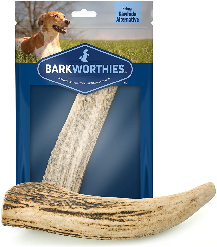 Barkworthies Whole Elk Antler Dog Chew for Large Breed Dogs - Single Image