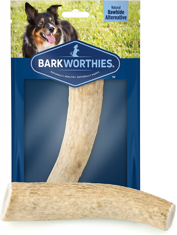 Barkworthies Whole Elk Antler Dog Chew for Medium Breed Dogs - Single Image