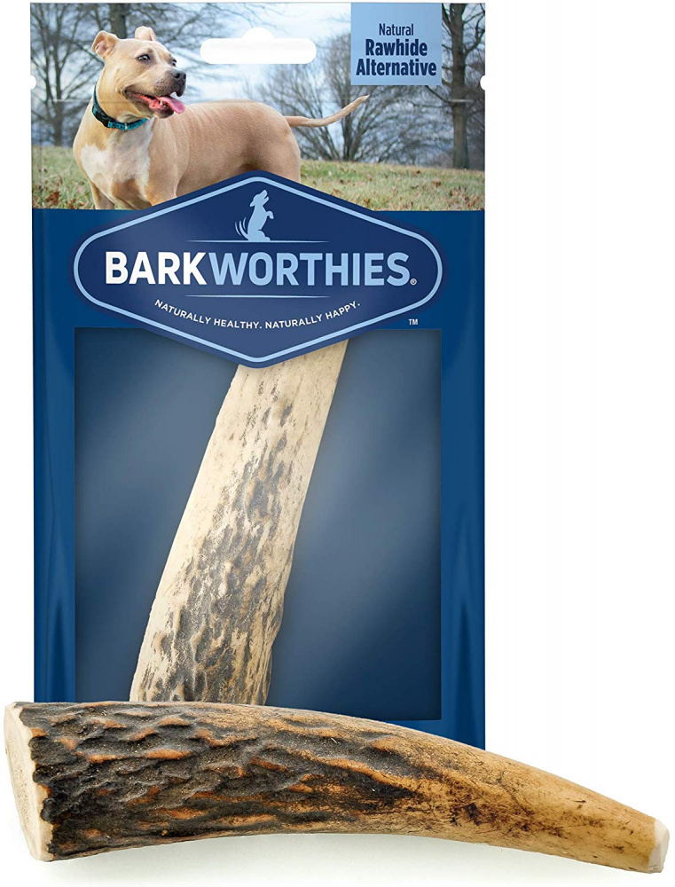 Barkworthies Whole Elk Antler Dog Chew for Small Breed Dogs - Single Image
