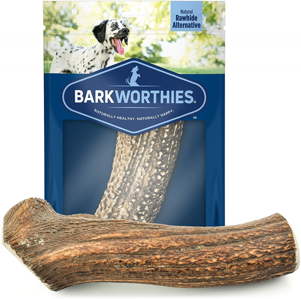 Barkworthies Whole Elk Antler Dog Chew for Extra Large Dogs - Single Image