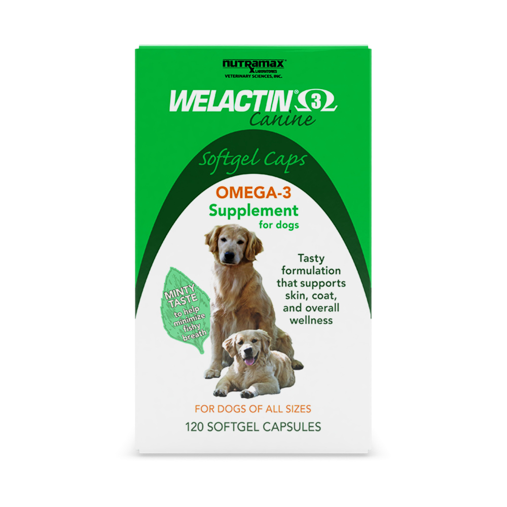 Nutramax Welactin Omega 3 Fish Oil Skin Coat Health Supplement Liquid for Dogs Softgels