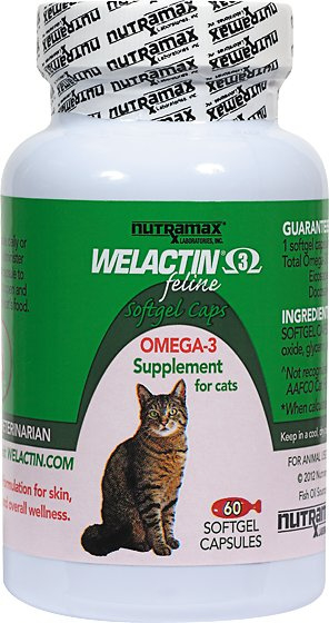 Nutramax Welactin Omega-3 Skin  Coat Feline Support Softgels Cat Supplement - 60-ct Image