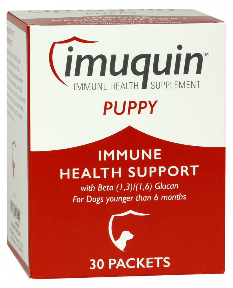 Nutramax Imuquin Immune Health Puppy Dog Supplements - 30-ct Image