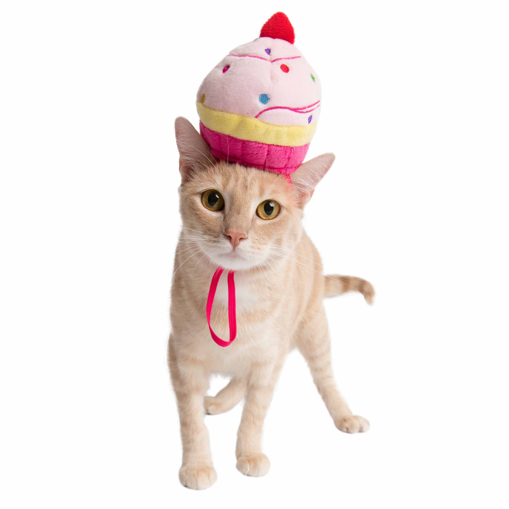 Pet Krewe Cupcake Hat Costume for Cats  Dogs - Single Image