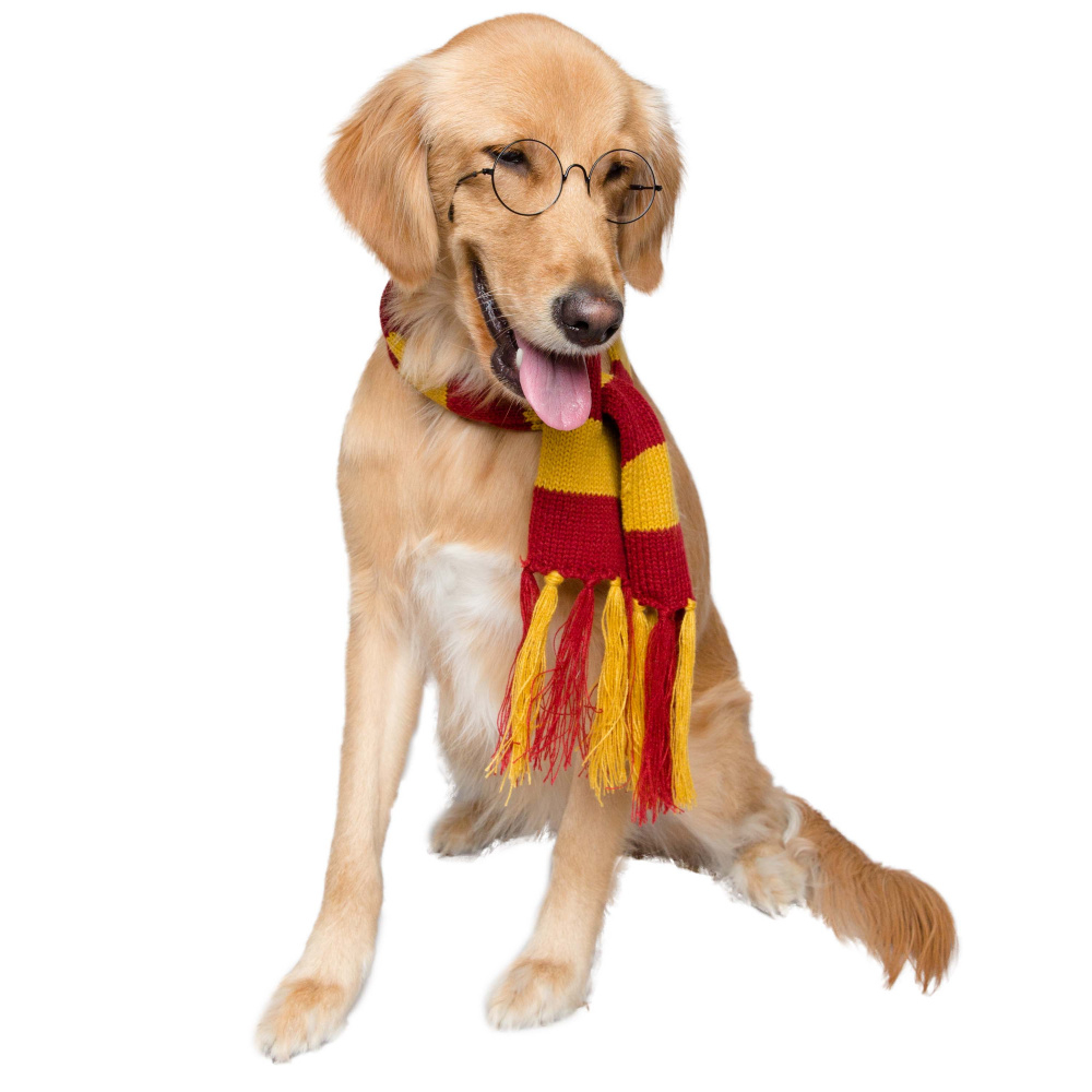 Pet Krewe Hipster Wizard Scarf for Cats  Dogs - Single Image