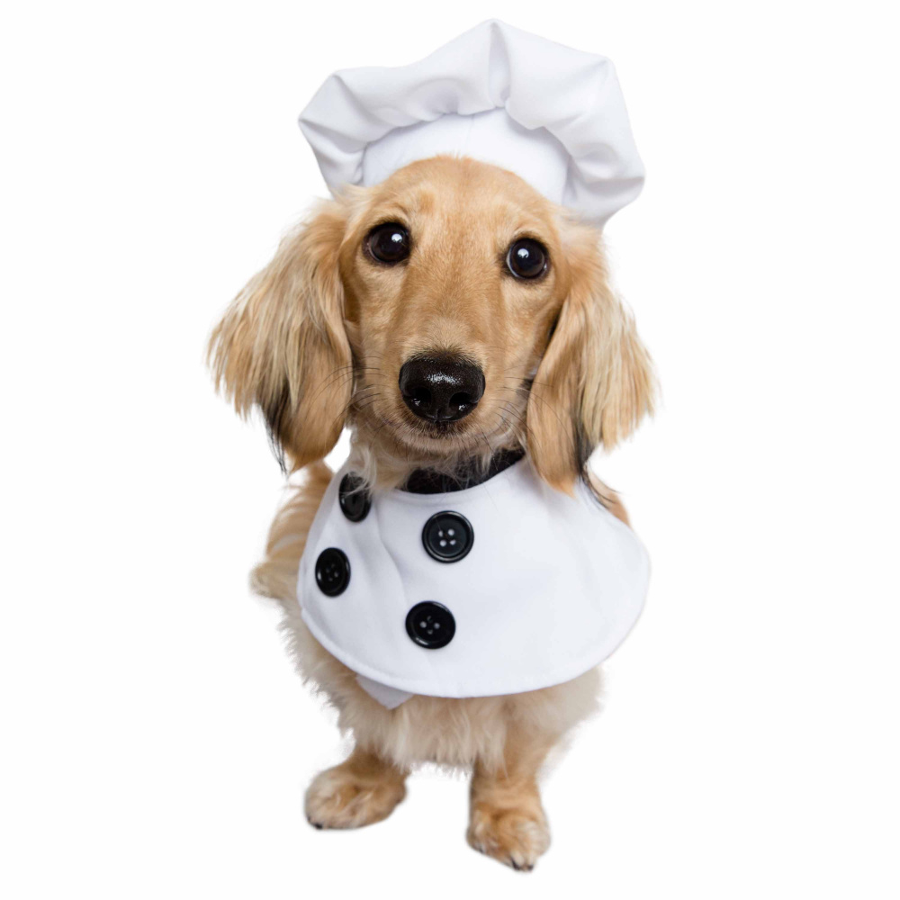 Pet Krewe Chef Uniform Costume for Cats  Dogs - Small/Medium Image