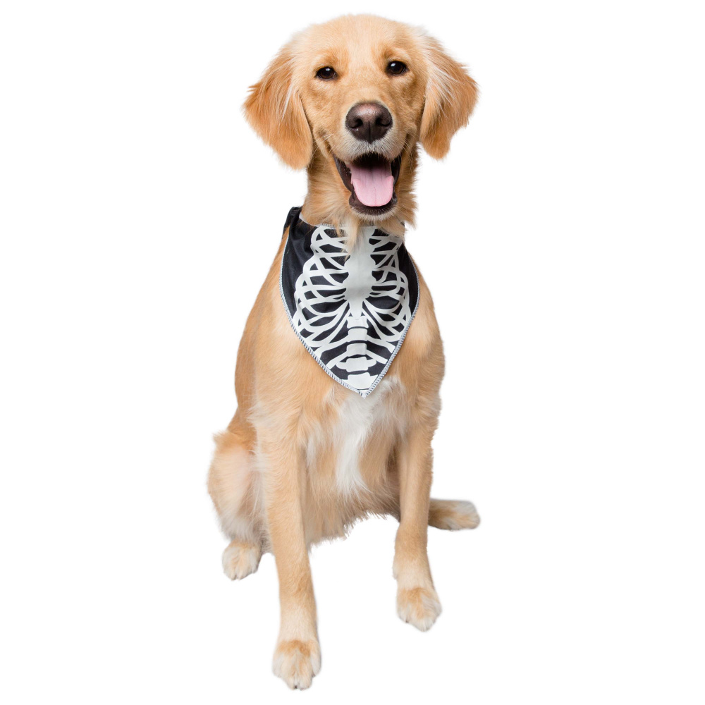 Pet Krewe Glow In The Dark Skeleton Bandana Costume for Cats  Dogs - Single Image
