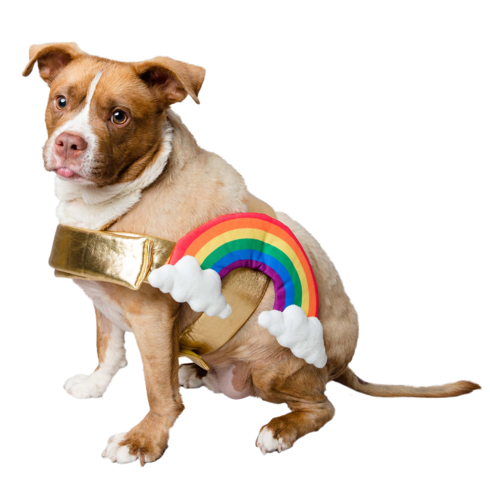 Pet Krewe Rainbow Costume for Cats  Dogs - Small Image