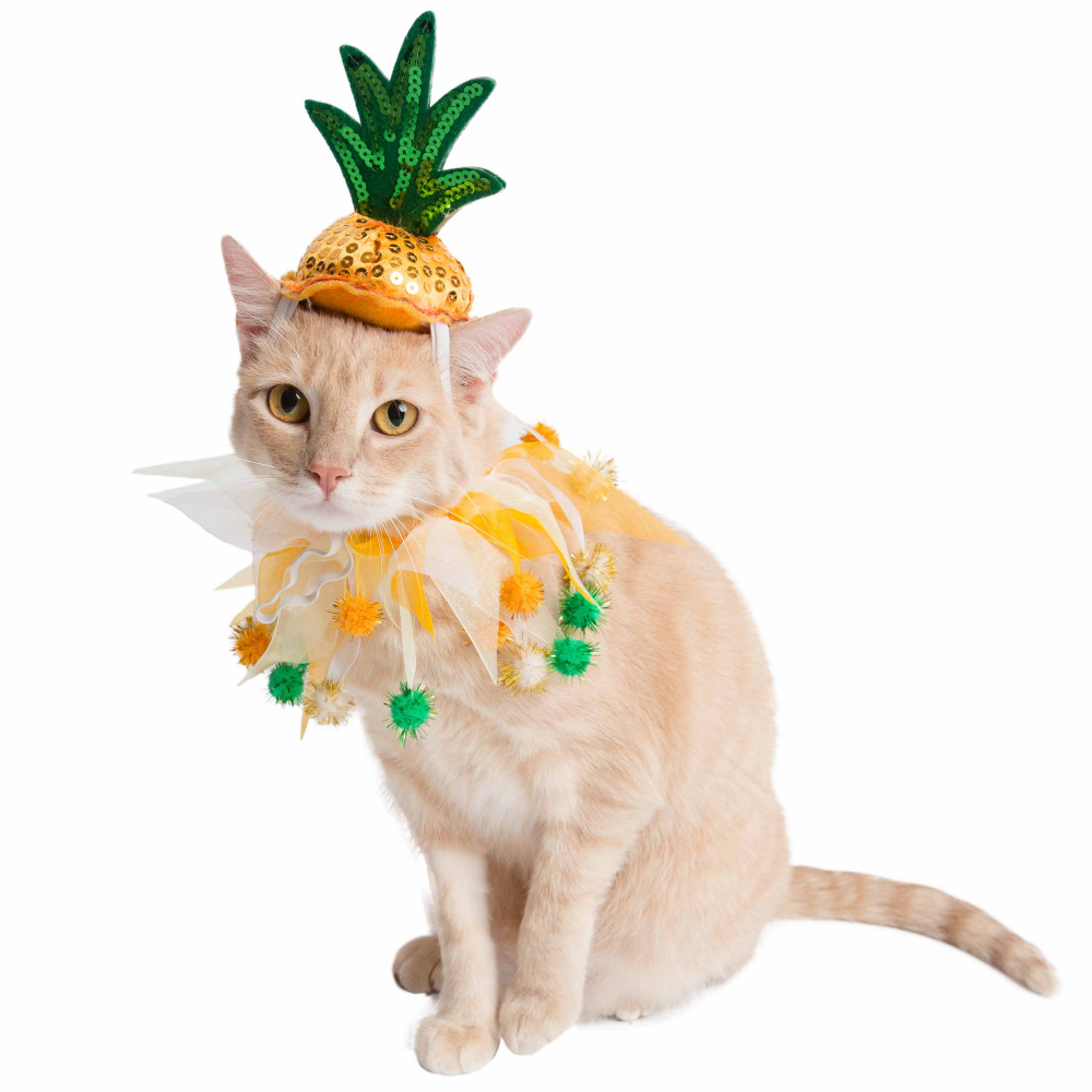 Pet Krewe Pineapple Hat  Collar Set for Cats  Dogs - Large/X-Large Image