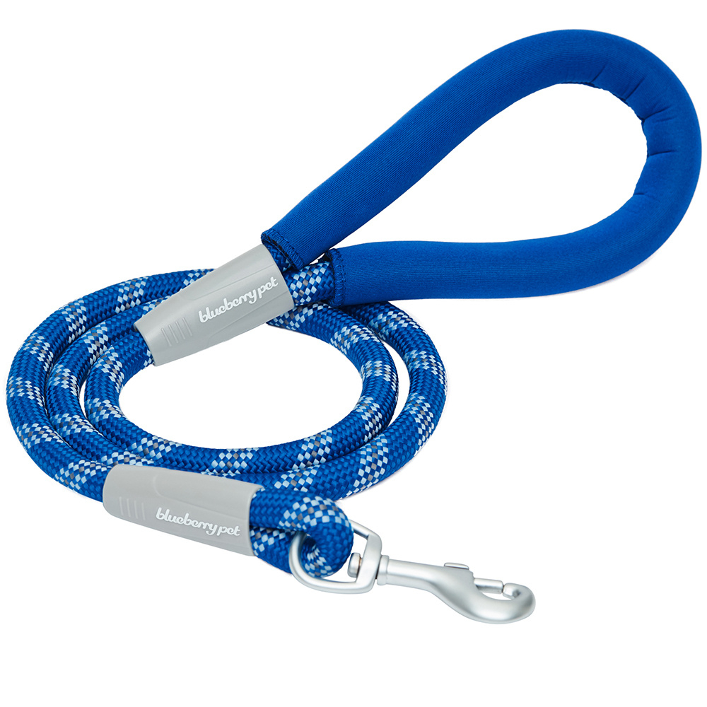 Blueberry Pet Durable Diagonal Striped Rope Leash in Blue with Comfy Neoprene Handle - Length 4' Image