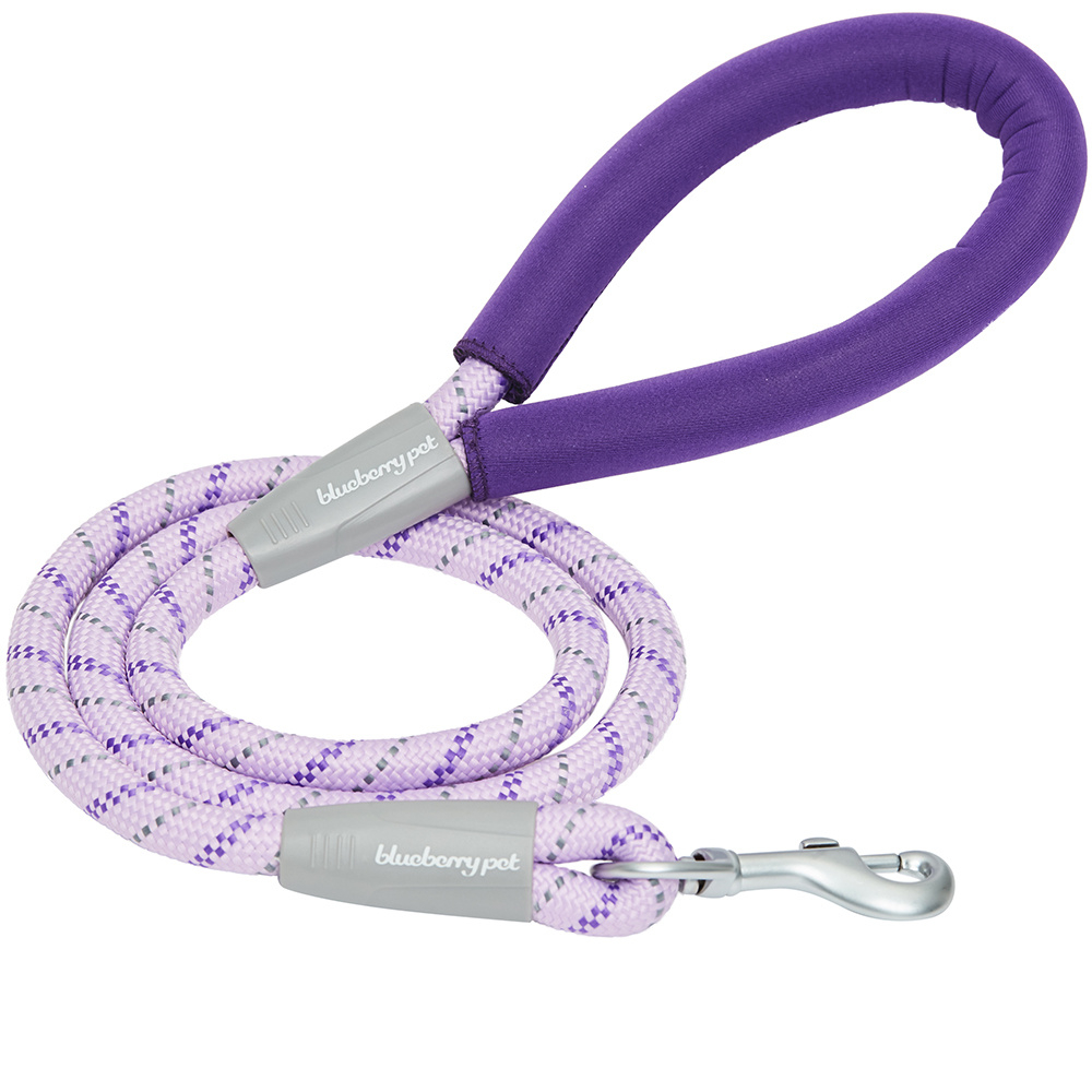 Blueberry Pet Durable Diagonal Striped Rope Leash in Lavender with Comfy Neoprene Handle - Length 4' Image