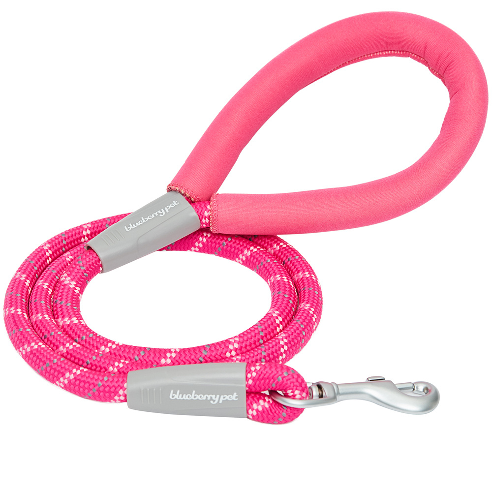 Blueberry Pet Durable Diagonal Striped Rope Leash in Pink with Comfy Neoprene Handle - Length 4' Image