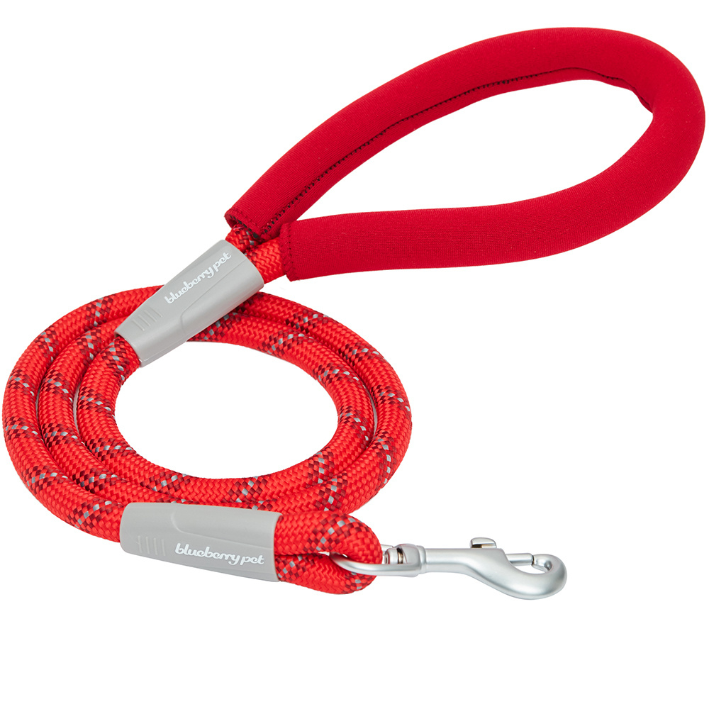 Blueberry Pet Durable Diagonal Striped Rope Leash in Red with Comfy Neoprene Handle - Length 4' Image