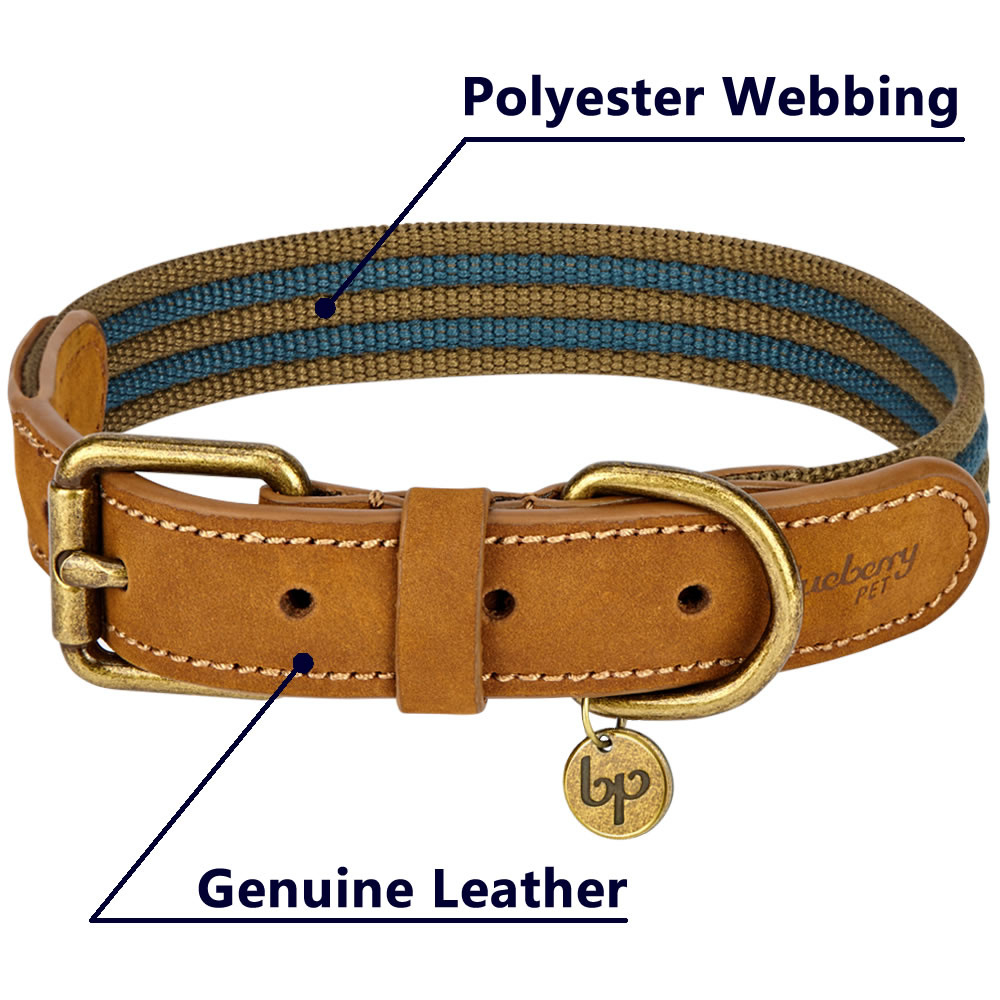 Blueberry Pet Polyester Fabric Webbing & Soft Genuine Leather Dog Collar in Navy & Olive - Neck 15