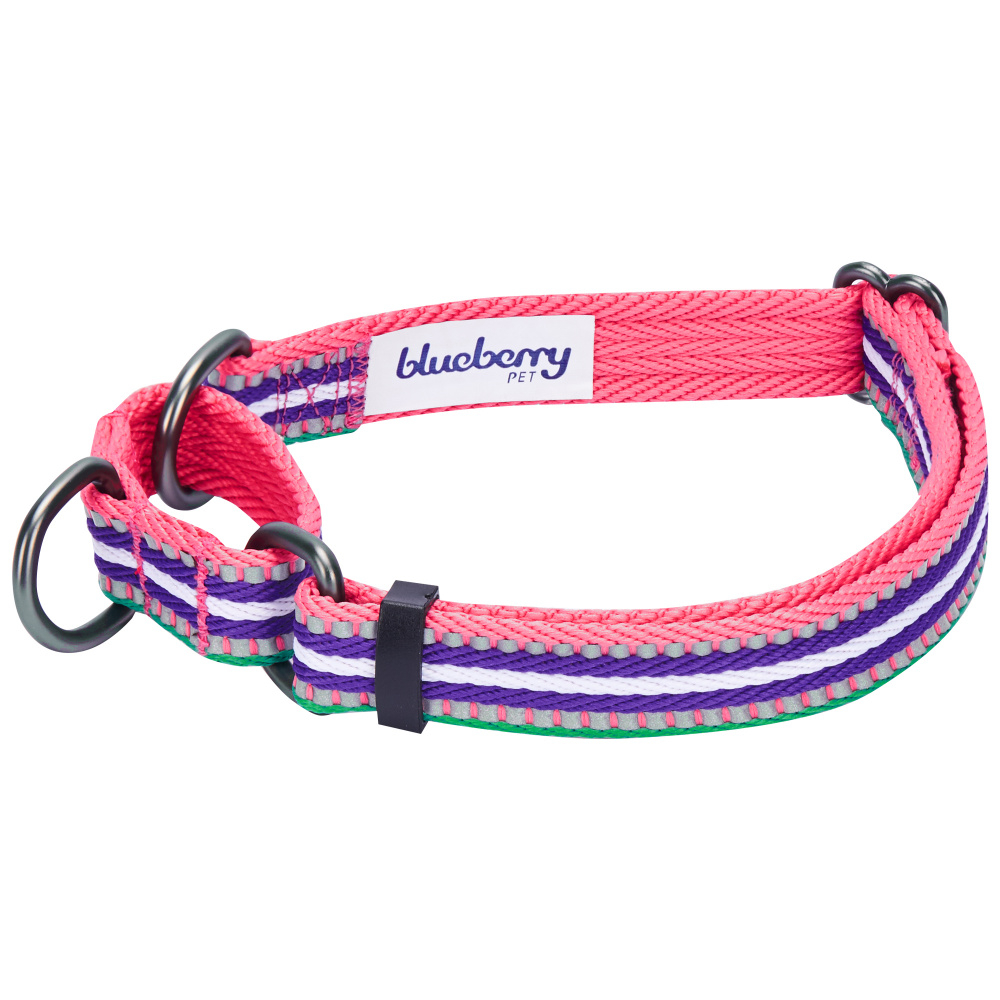 Blueberry Pet 3M Reflective Stripe Heavy Duty Training Martingale Dog Collar, Pink Emerald & Orchid - Large Image