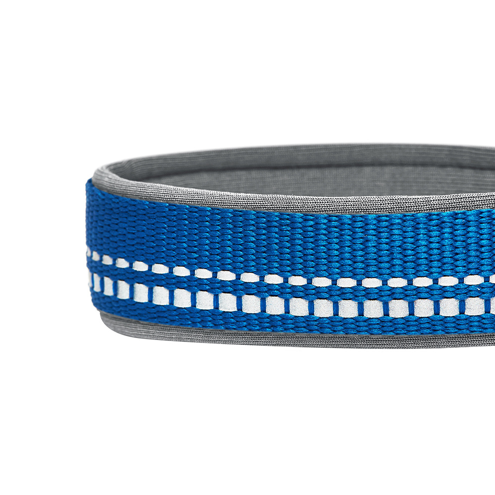 Blueberry Soft  Comfy 3M Reflective Navy Padded Dog Collar - Large: Fits Neck 18