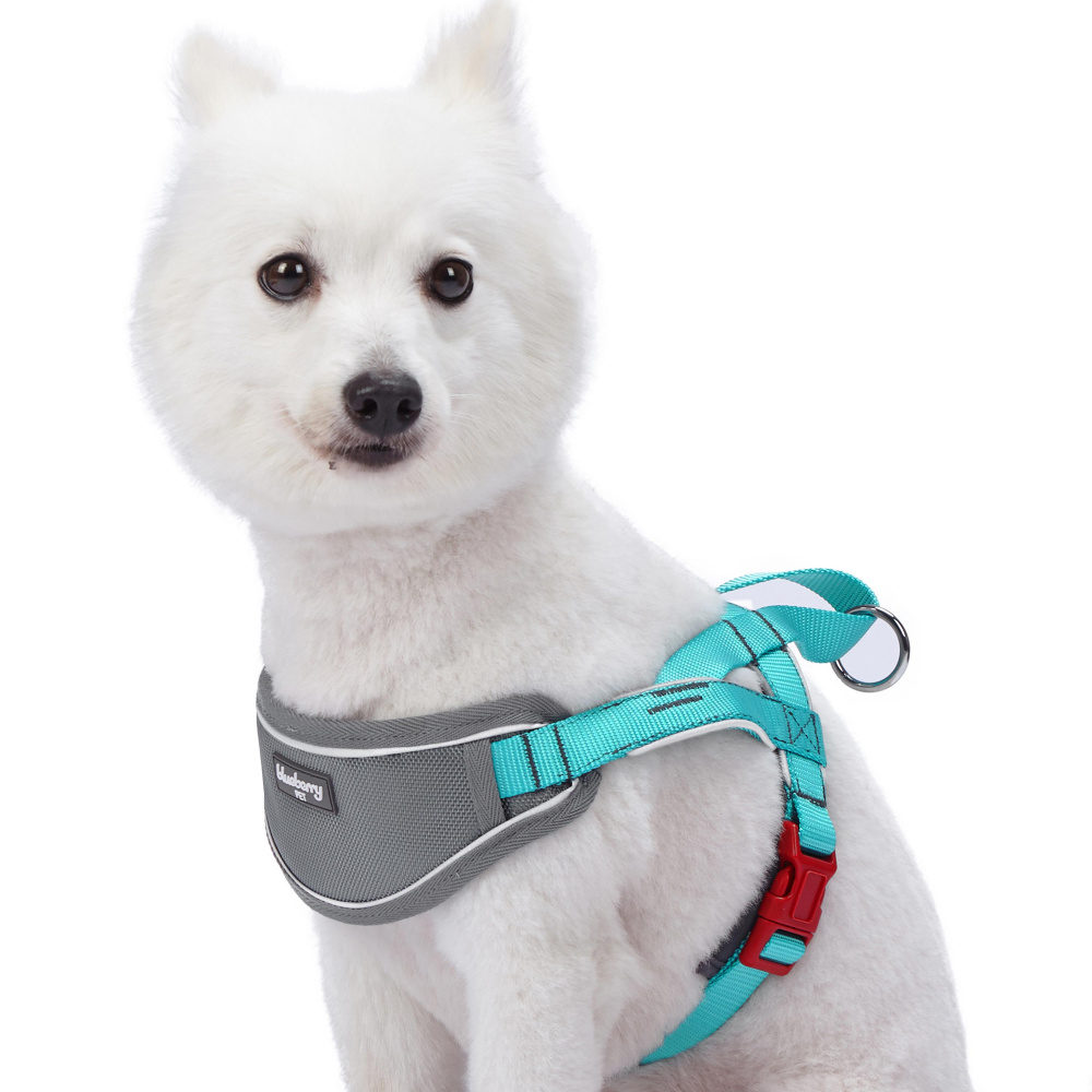 Blueberry Soft  Comfy 3M Reflective Strips Padded Lake Blue Dog Harness Vest - Medium: Fits Chest Girth 20.5